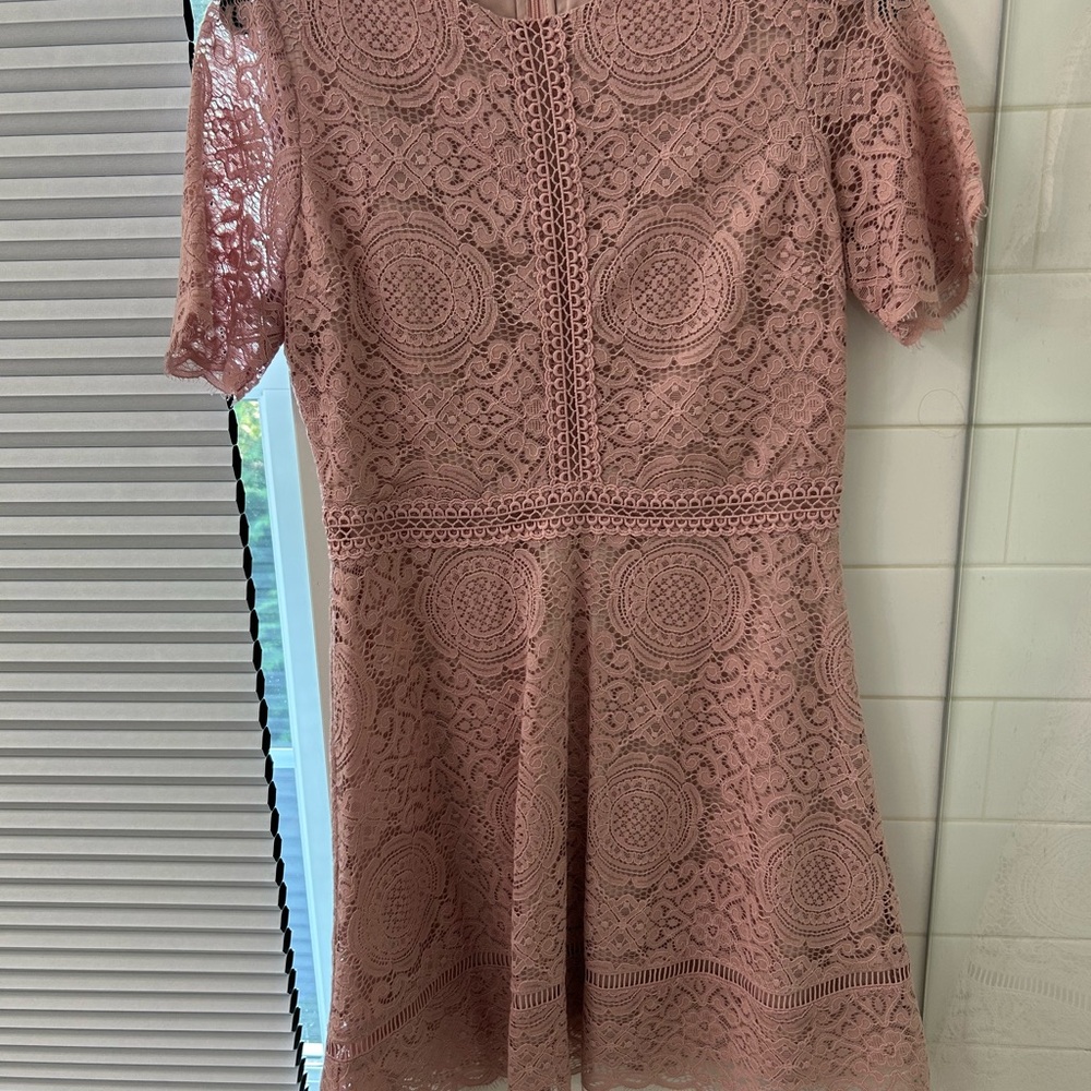BB Dakota Blush Lace Mini Dress